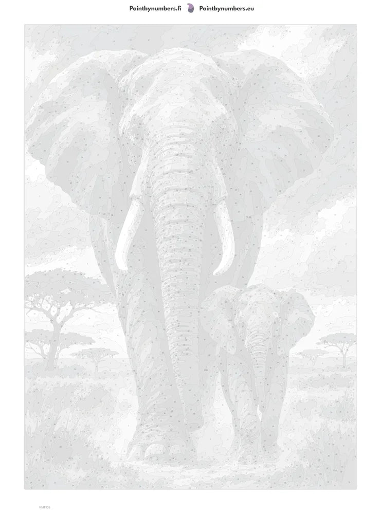 Paint by numbers numbered canvas - Elephant in Ink 50x70cm