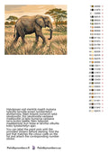 Thumbnail for Color chart and instructions - Elephant in Savanna 50x40cm