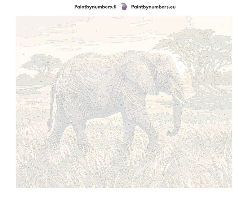 Numbered canvas - Elephant in Savanna 50x40cm