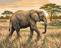 Thumbnail for The elephant walks on the savanna Paint By Numbers