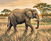 Thumbnail for The elephant walks on the savanna Paint By Numbers
