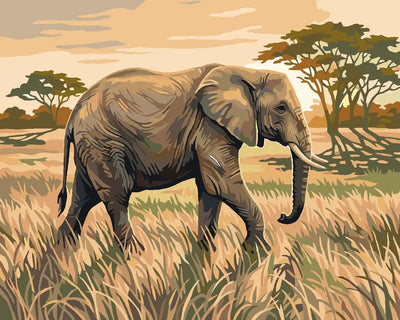 The elephant walks on the savanna Paint By Numbers