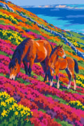 Thumbnail for Paint by numbers of an Exmoor pony and foal grazing on a flowering heather slope above the sea.