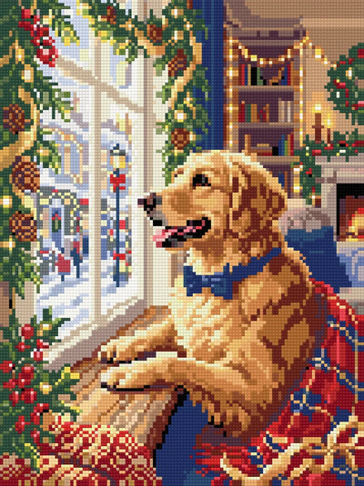 Golden retriever med blå rosett på filt vid ett julpyntat fönster mot en snöig gata