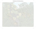 Thumbnail for Paint by numbers numbered canvas - Fight Between a Tiger and a Buffalo 50x40cm
