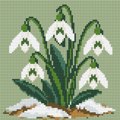 Förhandsvisning: vita snödroppar med mörkgröna blad bland smältande snö