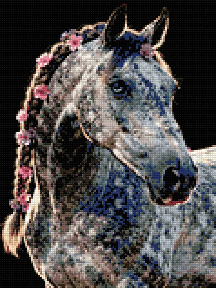 Diamantmönster för Floral Mane