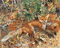 Thumbnail for Foxes by Liljefors, 50x40 cm diamond painting – finished design preview