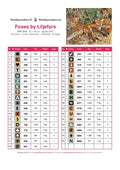 Thumbnail for DMC color chart for Foxes by Liljefors diamond painting - 35 colors