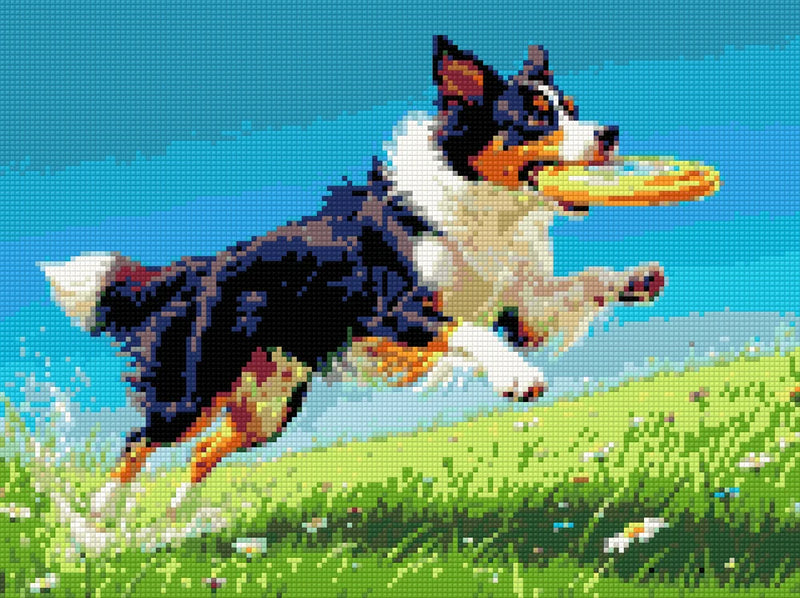 Diamond Pattern - Frisbee Dog