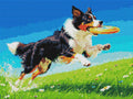 Thumbnail for Diamond Pattern - Frisbee Dog