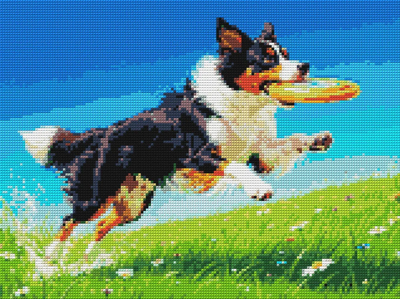 Diamond Pattern - Frisbee Dog