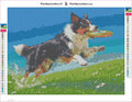 Thumbnail for Frisbee Dog diamond painting adhesive canvas 40x30cm