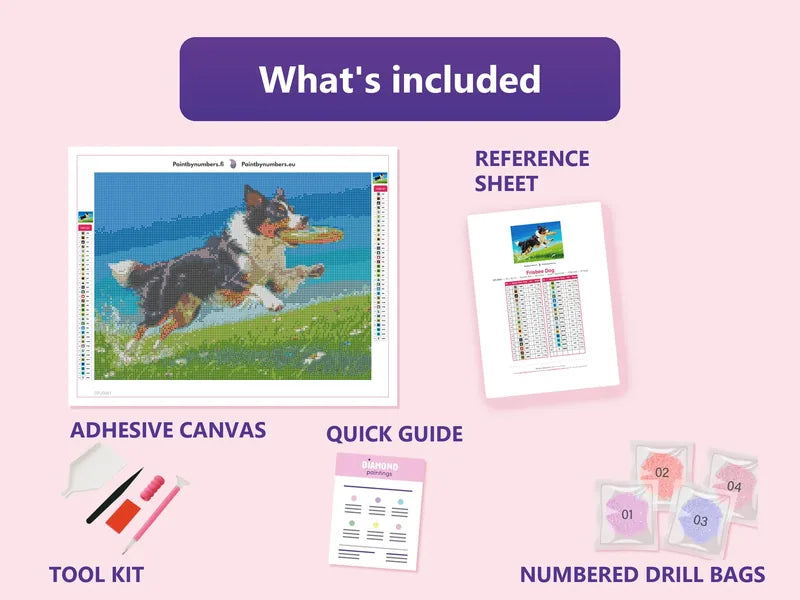 Frisbee Dog 40x30cm diamond painting kit contents: adhesive canvas, color chart, tools and diamond bags