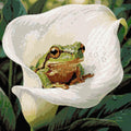 Thumbnail for Diamond Pattern - Frog in Calla Lily