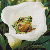 Thumbnail for Diamond Pattern - Frog in Calla Lily