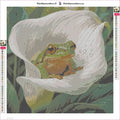 Thumbnail for Frog in Calla Lily diamond painting adhesive canvas 40x40cm