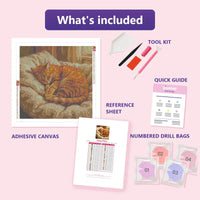 Thumbnail for Fuzzy Pillow 50x50cm diamond painting kit contents: adhesive canvas, color chart, tools and diamond bags