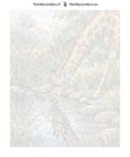Thumbnail for Numbered canvas - Giraffe Drinking at Pond 40x50cm