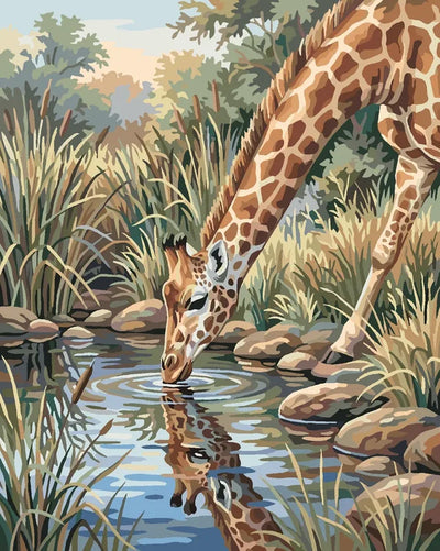 A giraffe drinking at a pond Paint By Numbers. Reflection in the water, savanna vegetation.