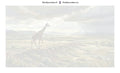 Thumbnail for Numbered canvas - Giraffe in Landscape 70x40cm