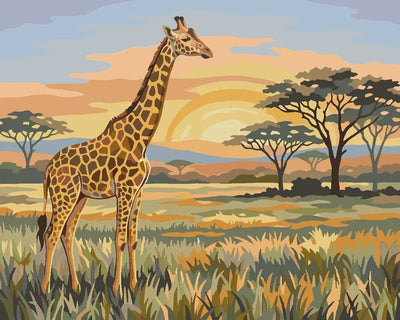 Giraffe on the savannah Paint By Numbers, sunset and grassland.