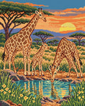 Miniatyrbild: Giraffer vid ett blått vattenhål med gula blommor och orange kvällshimmel
