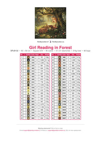 Thumbnail for Girl Reading in Forest diamond painting color chart – 46 DMC colors