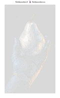 Thumbnail for Numbered canvas - Gloved Hand Holding Pear 40x70cm