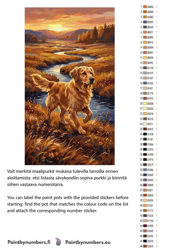 Paint color chart and instructions - Golden Retriever in Field 2 40x70cm