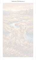 Thumbnail for Paint by numbers numbered canvas - Golden Retriever in Field 2 40x70cm