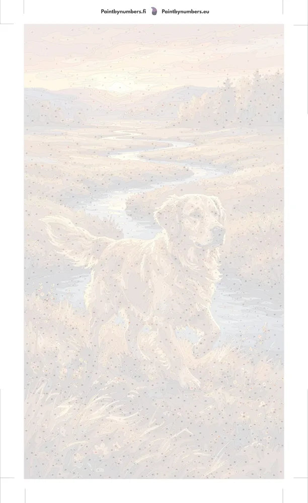 Paint by numbers numbered canvas - Golden Retriever in Field 2 40x70cm