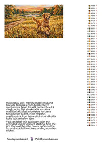 Thumbnail for Paint color chart and instructions - Golden Retriever in Field 70x40cm