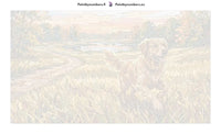 Thumbnail for Paint by numbers numbered canvas - Golden Retriever in Field 70x40cm