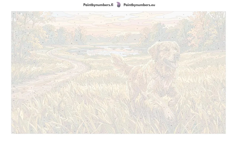 Paint by numbers numbered canvas - Golden Retriever in Field 70x40cm