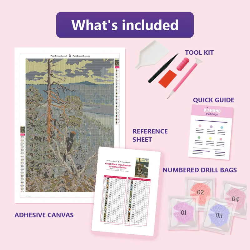 What is included in the Great Black Woodpecker by Gallen-Kallela diamond painting kit - adhesive canvas, reference sheet, tools and numbered drill bags