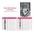 Thumbnail for DMC color chart for Grey Wolf in Heavy Snowfall diamond painting - 14 colors