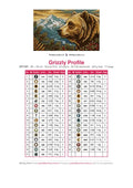 Thumbnail for DMC color chart for Grizzly Profile diamond painting - 33 colors
