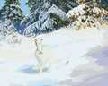 Miniatyrbild: Måla efter nummer-motiv av Hare i vinterlandskap av Bruno Liljefors: en vit hare i snö framför snötäckta granar