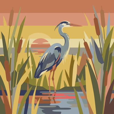 Grey heron in a reed marsh at sunset paint by numbers.