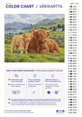 Thumbnail for Paint color chart and instructions - Highland Cow and Calf at Rest 50x40cm