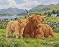 Thumbnail for Two Highland cows in green meadow paint by numbers.