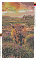 Thumbnail for Highland Cow at Sunset diamond painting adhesive canvas 40x70cm