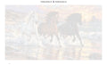Thumbnail for Paint by numbers numbered canvas - Horses in the Surf 70x40cm
