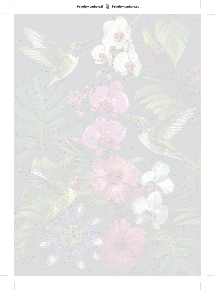 Paint by numbers numbered canvas - Hummingbirds and Orchids 50x70cm