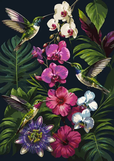 Hummingbirds and orchids paint by numbers. Colorful tropical flowers and birds.