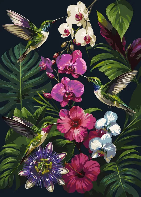 Hummingbirds and orchids paint by numbers. Colorful tropical flowers and birds.