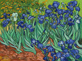Thumbnail for Diamond painting pattern chart - Irises