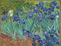 Thumbnail for Irises diamond painting - Van Gogh