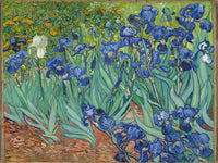 Thumbnail for Irises diamond painting - Van Gogh